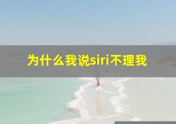 为什么我说siri不理我