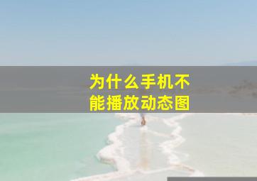 为什么手机不能播放动态图