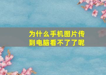 为什么手机图片传到电脑看不了了呢