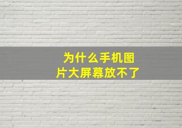 为什么手机图片大屏幕放不了