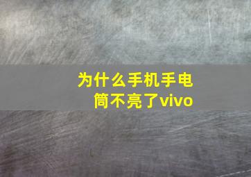 为什么手机手电筒不亮了vivo