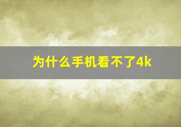 为什么手机看不了4k