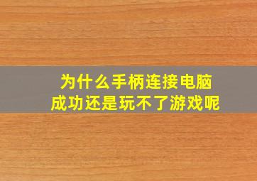 为什么手柄连接电脑成功还是玩不了游戏呢