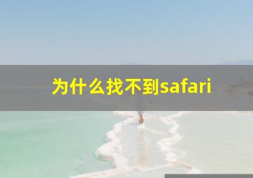 为什么找不到safari