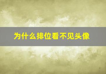 为什么排位看不见头像