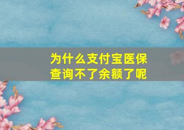 为什么支付宝医保查询不了余额了呢