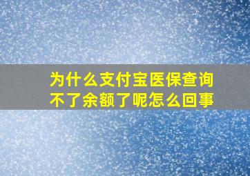 为什么支付宝医保查询不了余额了呢怎么回事