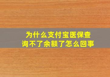 为什么支付宝医保查询不了余额了怎么回事