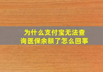 为什么支付宝无法查询医保余额了怎么回事