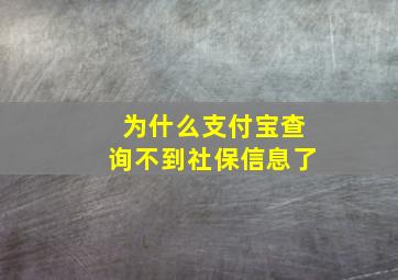 为什么支付宝查询不到社保信息了