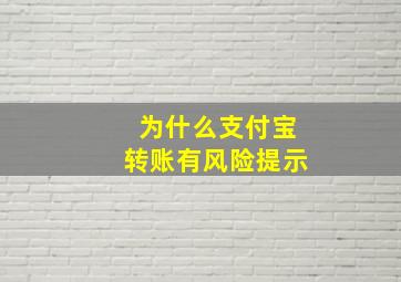 为什么支付宝转账有风险提示