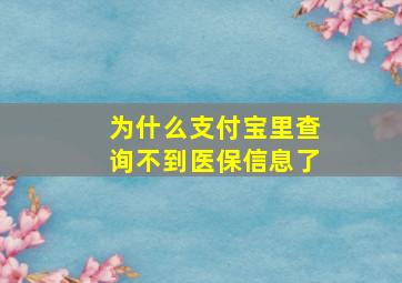 为什么支付宝里查询不到医保信息了