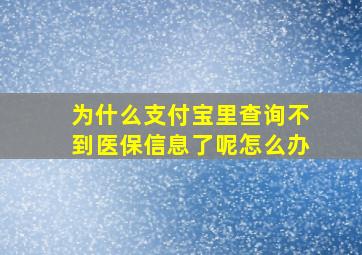 为什么支付宝里查询不到医保信息了呢怎么办