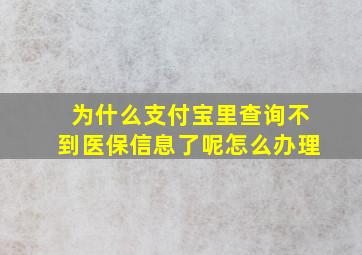 为什么支付宝里查询不到医保信息了呢怎么办理