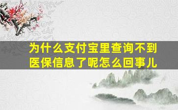 为什么支付宝里查询不到医保信息了呢怎么回事儿