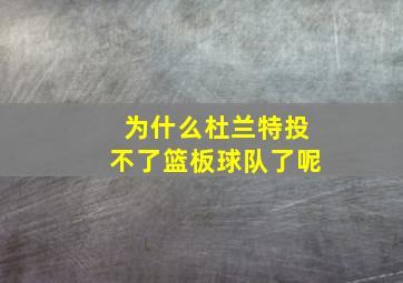 为什么杜兰特投不了篮板球队了呢