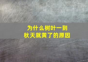 为什么树叶一到秋天就黄了的原因