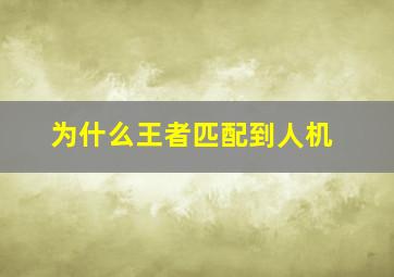 为什么王者匹配到人机