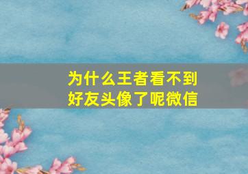 为什么王者看不到好友头像了呢微信