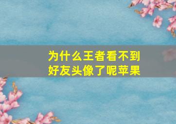 为什么王者看不到好友头像了呢苹果