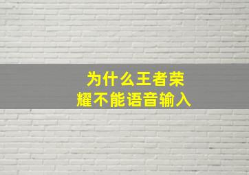 为什么王者荣耀不能语音输入