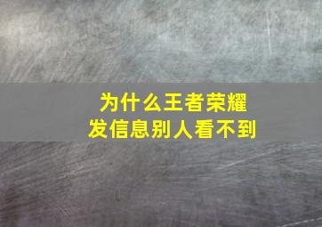 为什么王者荣耀发信息别人看不到