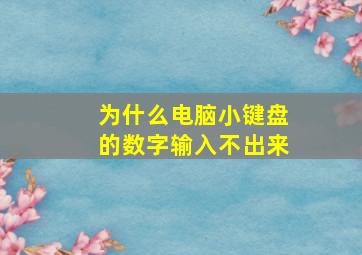 为什么电脑小键盘的数字输入不出来