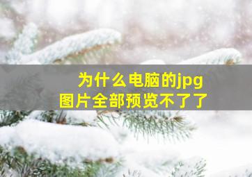 为什么电脑的jpg图片全部预览不了了