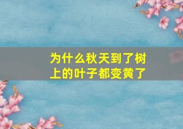 为什么秋天到了树上的叶子都变黄了