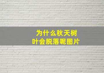 为什么秋天树叶会脱落呢图片