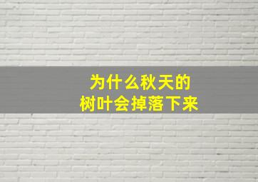 为什么秋天的树叶会掉落下来