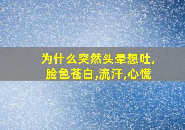 为什么突然头晕想吐,脸色苍白,流汗,心慌