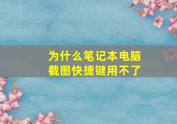 为什么笔记本电脑截图快捷键用不了