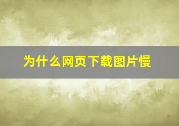 为什么网页下载图片慢