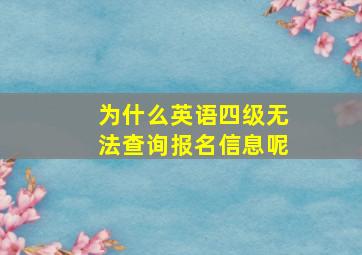 为什么英语四级无法查询报名信息呢