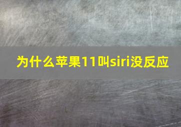 为什么苹果11叫siri没反应