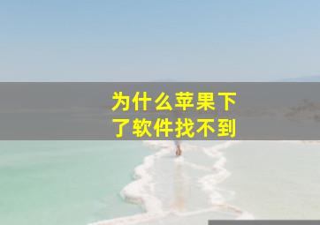 为什么苹果下了软件找不到