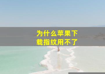 为什么苹果下载指纹用不了