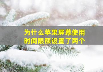 为什么苹果屏幕使用时间限额设置了两个