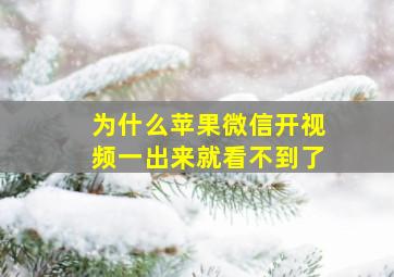 为什么苹果微信开视频一出来就看不到了