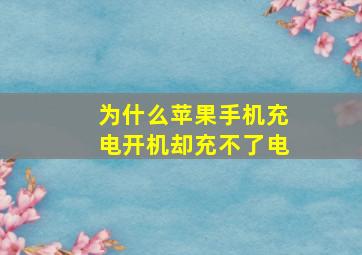 为什么苹果手机充电开机却充不了电