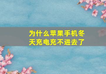 为什么苹果手机冬天充电充不进去了