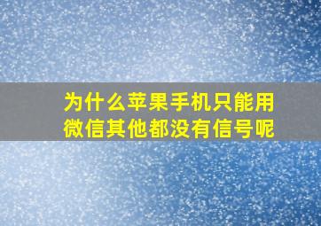 为什么苹果手机只能用微信其他都没有信号呢