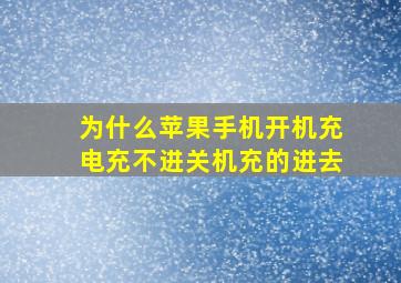 为什么苹果手机开机充电充不进关机充的进去