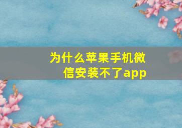 为什么苹果手机微信安装不了app