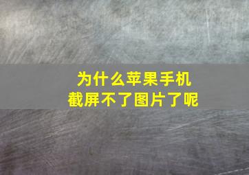 为什么苹果手机截屏不了图片了呢