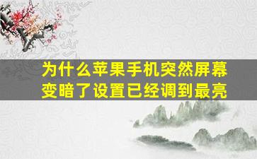 为什么苹果手机突然屏幕变暗了设置已经调到最亮