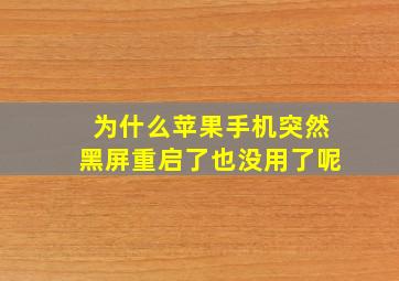 为什么苹果手机突然黑屏重启了也没用了呢