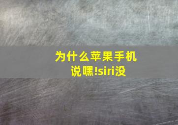 为什么苹果手机说嘿!siri没