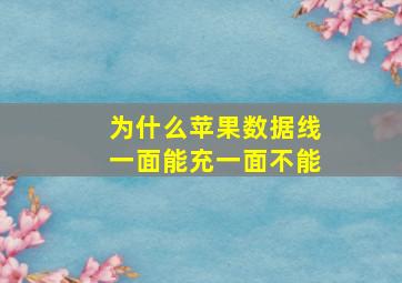 为什么苹果数据线一面能充一面不能